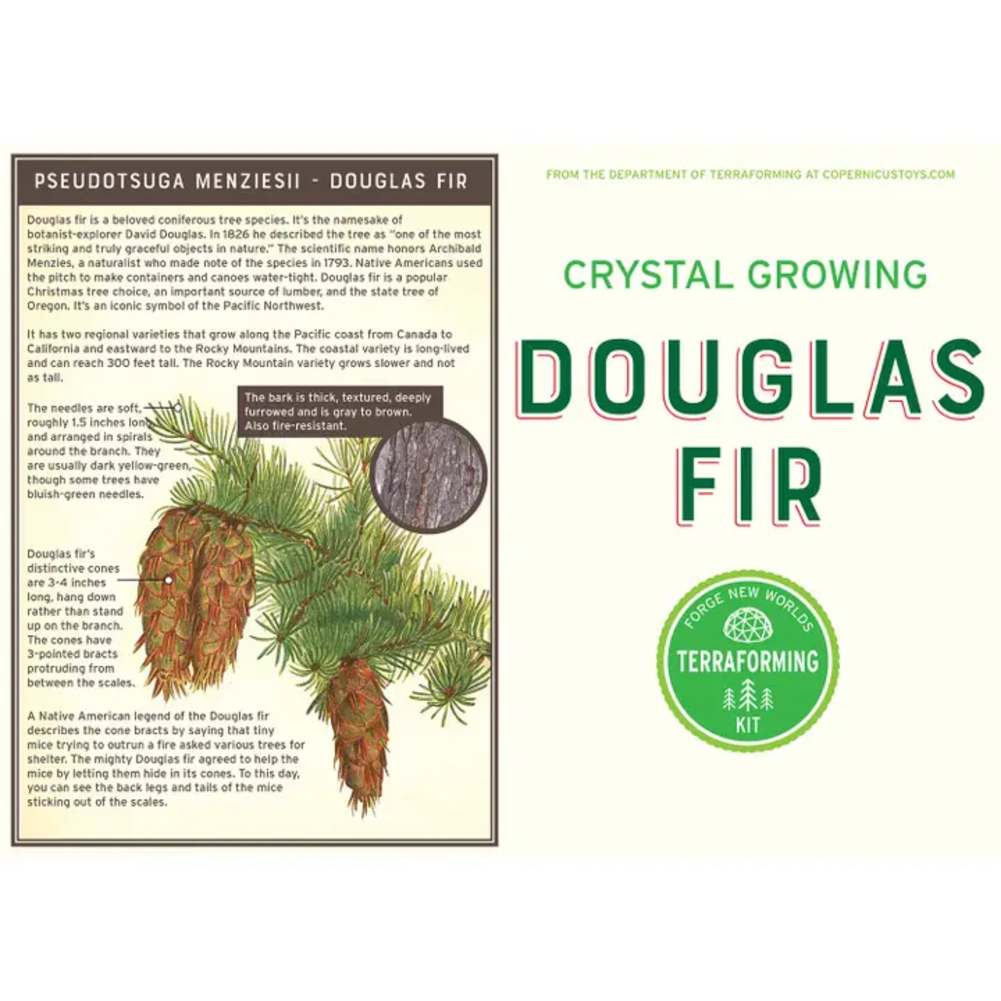 Crystal Growing Kit | Douglas Fir