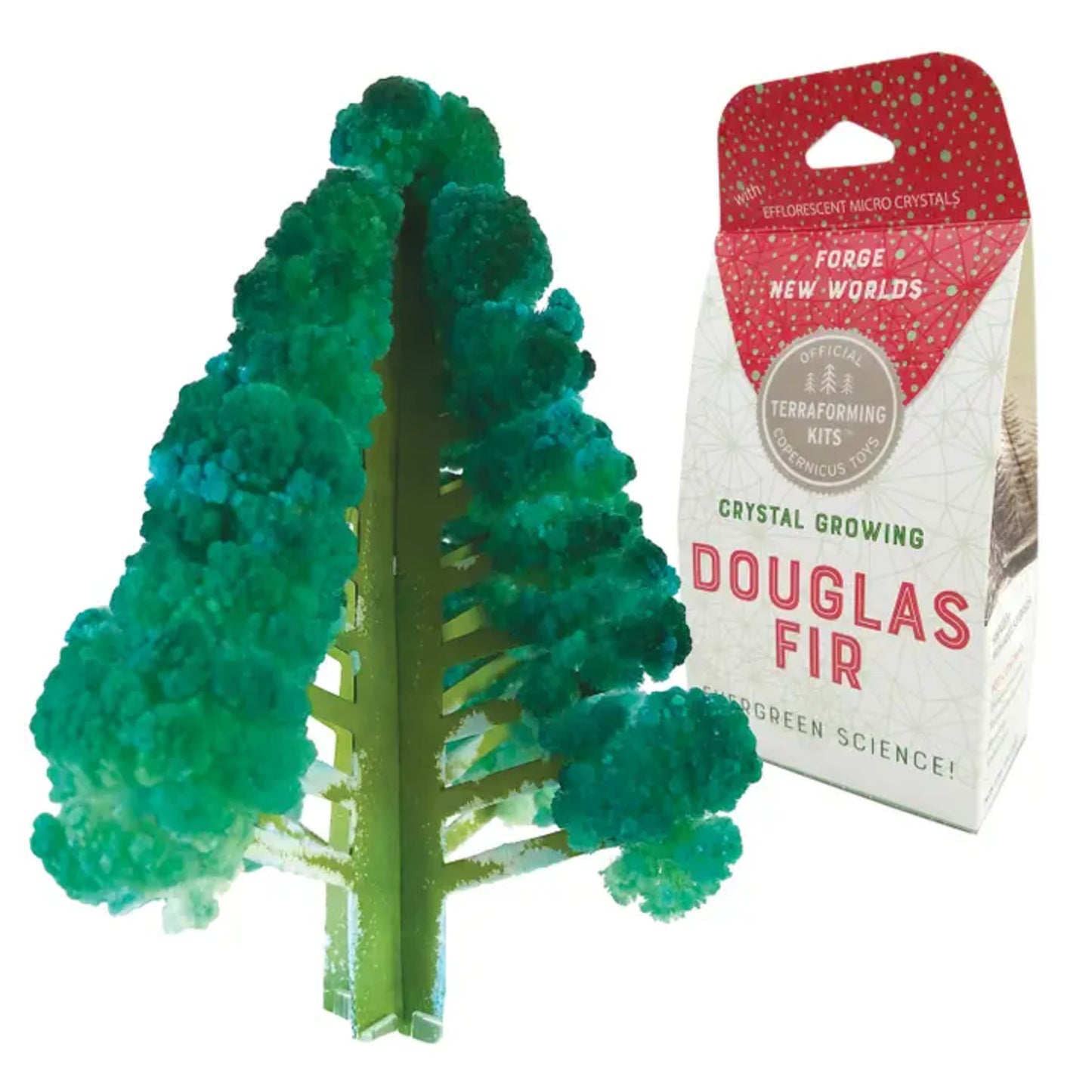 Crystal Growing Kit | Douglas Fir