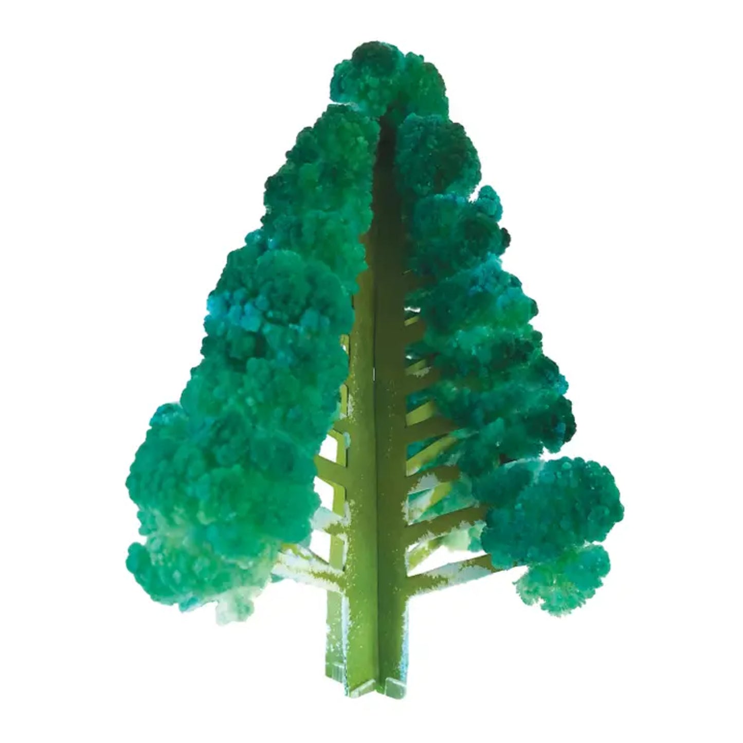 Crystal Growing Kit | Douglas Fir