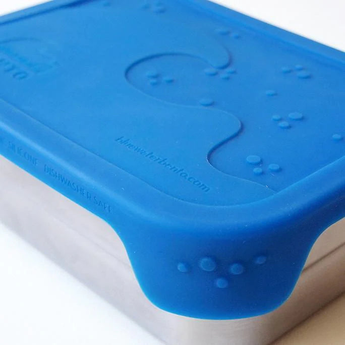 Bento Splash Box | Blue