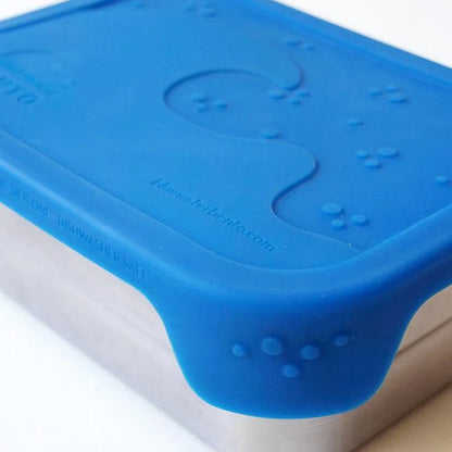 Bento Splash Box | Blue