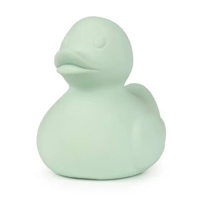 Rubber Duck Toy