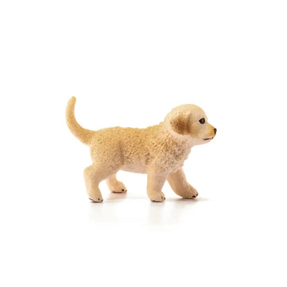 Golden Retriever Puppy